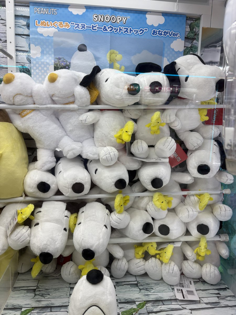 Post by 杉やん on X: チ○コやん