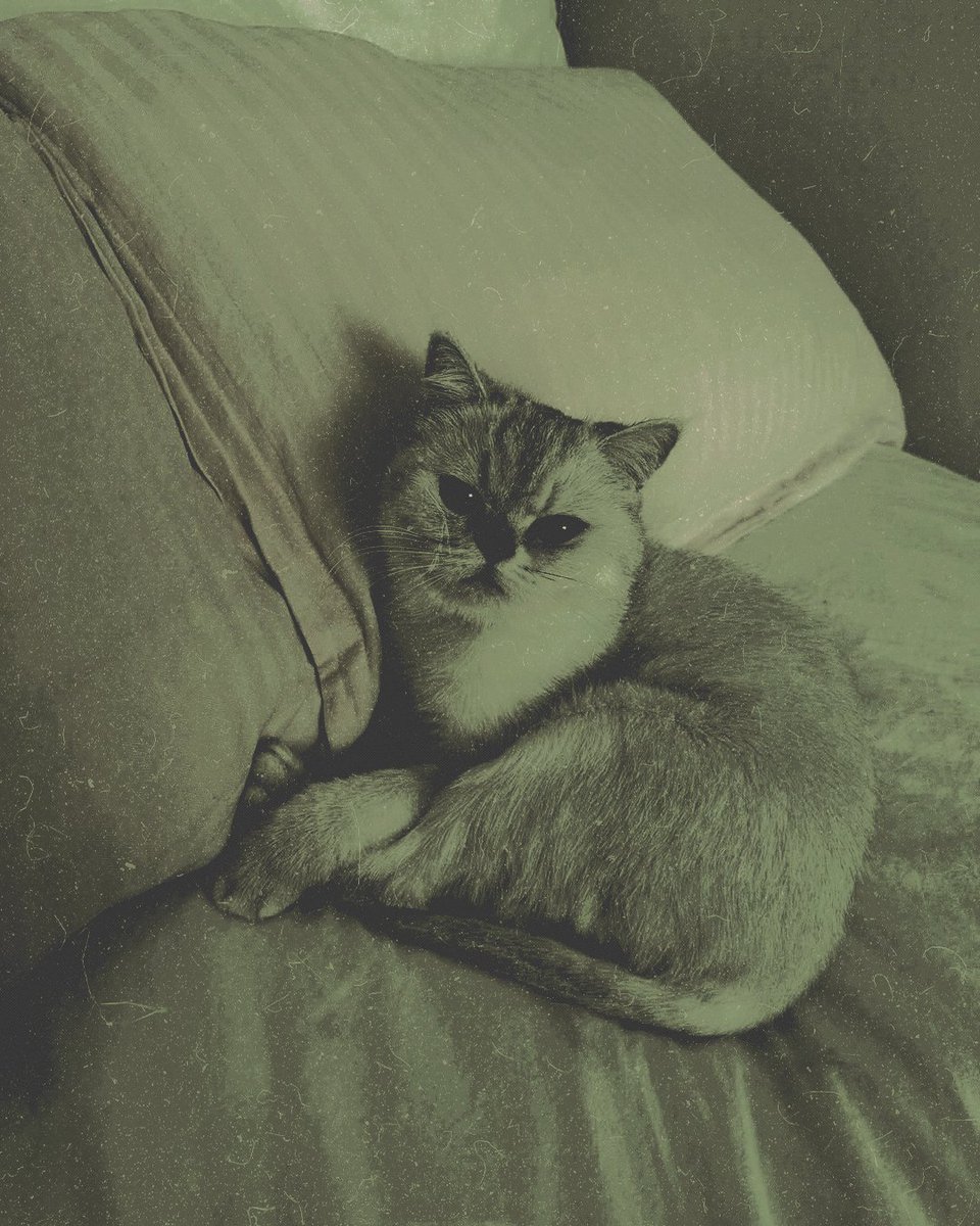 betinkling's tweet image. ⠀⠀⠀⠀⠀⠀⠀⠀⠀
⠀⠀⠀⠀⠀⠀⠀⠀⠀
⠀⠀⠀⠀⠀⠀⠀⠀⠀