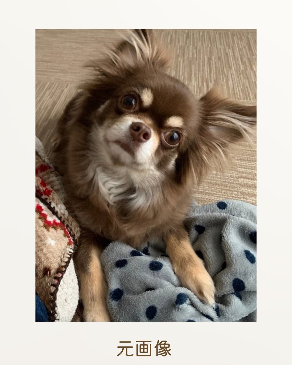 わんちゃんの絵 新刊情報】指で触って目で見て楽しい赤ちゃん絵本『わんわん！ さわっ