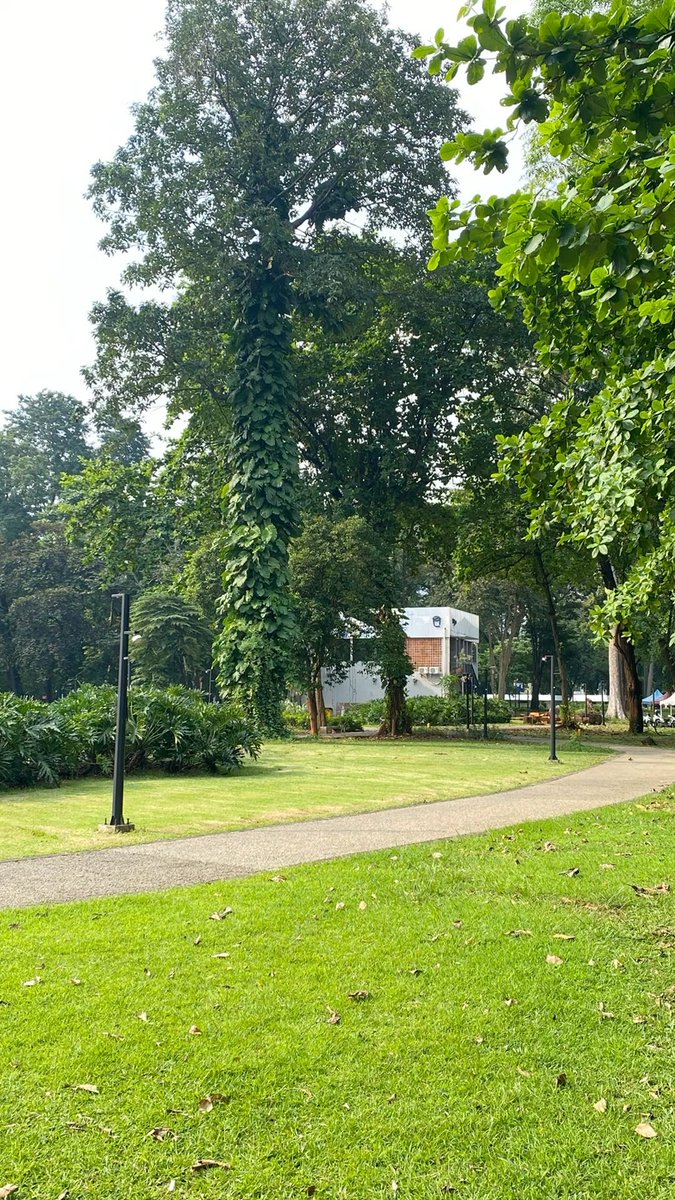 voltveil's tweet image. Greetings my GERD.