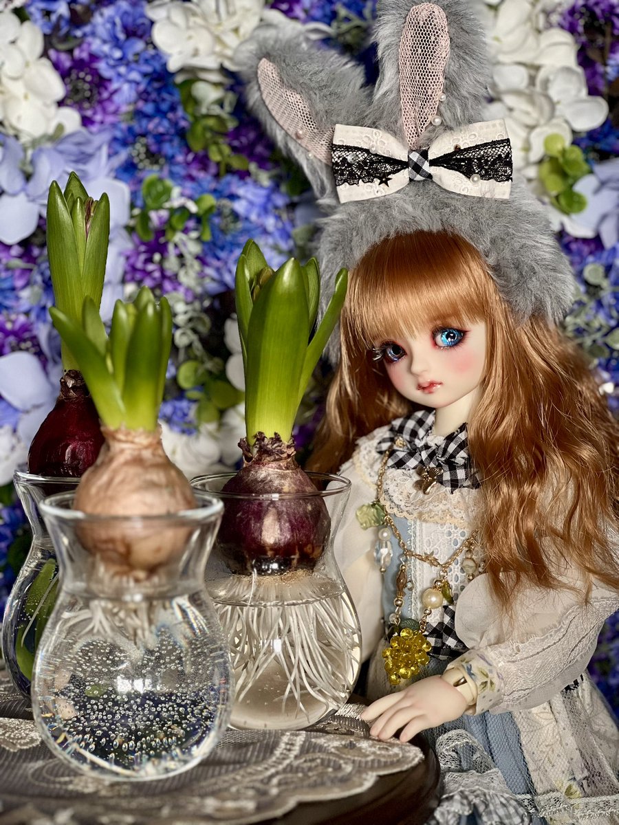 お正月に買ったヒヤシンス届いた🪻どれくらいで咲くか楽しみ〜〜