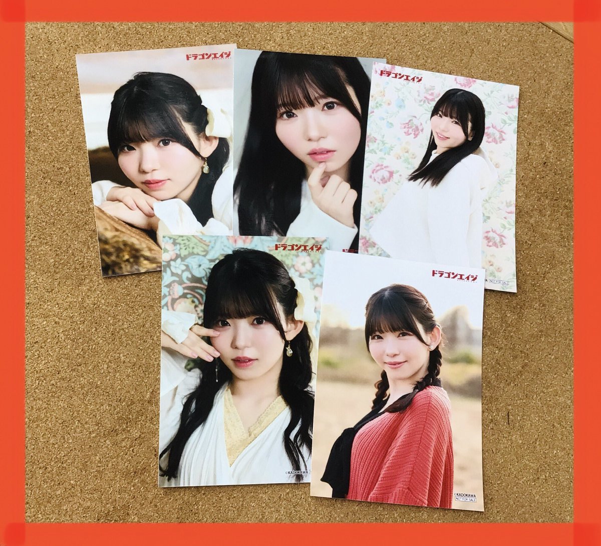 🐲書籍🐲】 「#ドラゴンエイジ 2025年5月号」 780円(税込