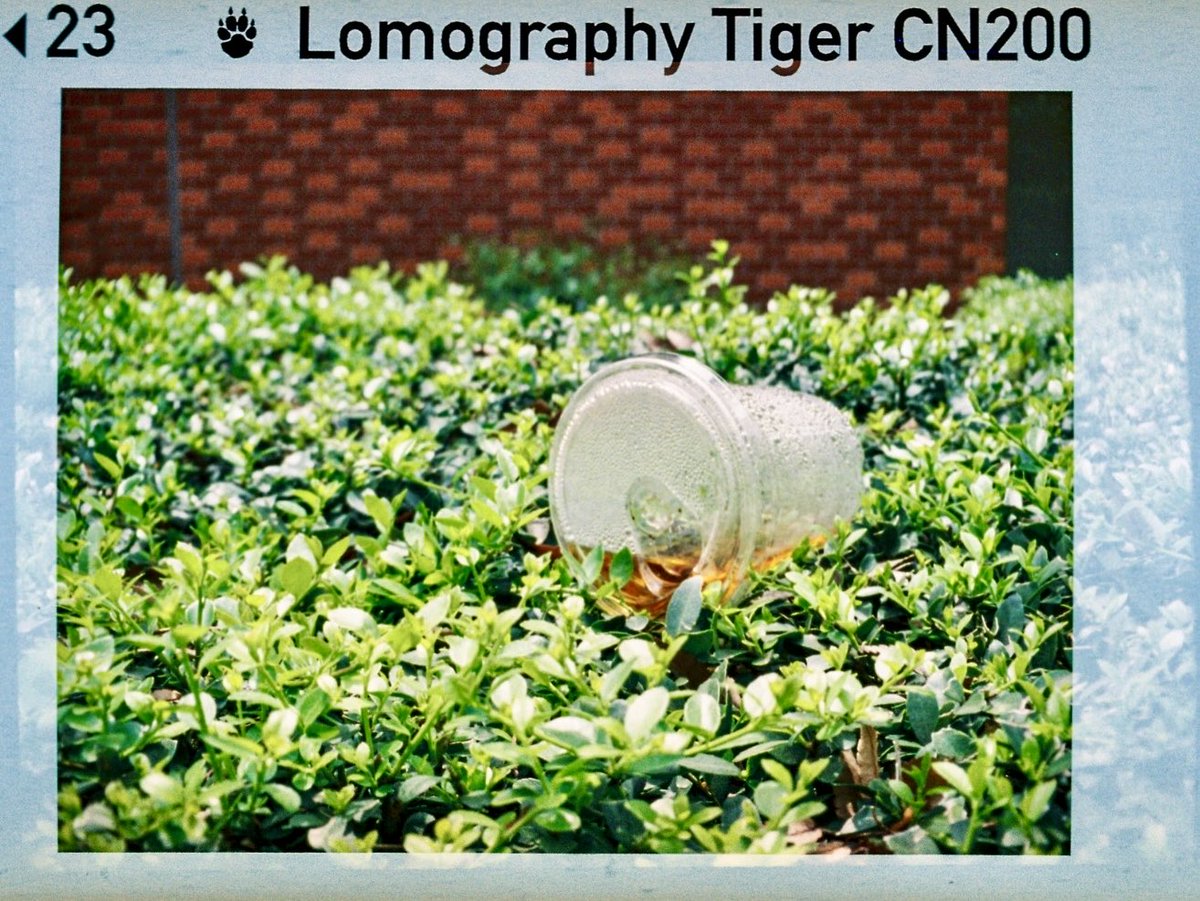 Shj3D's tweet image. Too late to go
#pentaxauto110 #filmphotography
