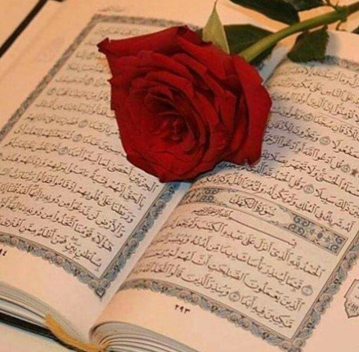 ﷽
السلام علیکم ورحمتہ اللہ وبرکاتہ⁧🌹
#خاتم_النبیین_محمدﷺ
⁧#درود_وسلام⁩ 

یا ربّ توُ بڑا رحمان ہے ہمارے قدموں کو اپنی رضا کی جانب موڑ دیجئیے 
ہم پہ رحم و کرم فرمائیے ہمارے گناہوں سے در گزر فرماکر ہم کو وہ سب کچھ عطا فرمائیں 
جو ہمارے حق میں بہترین ہو
آمین ثم آمین 🤲