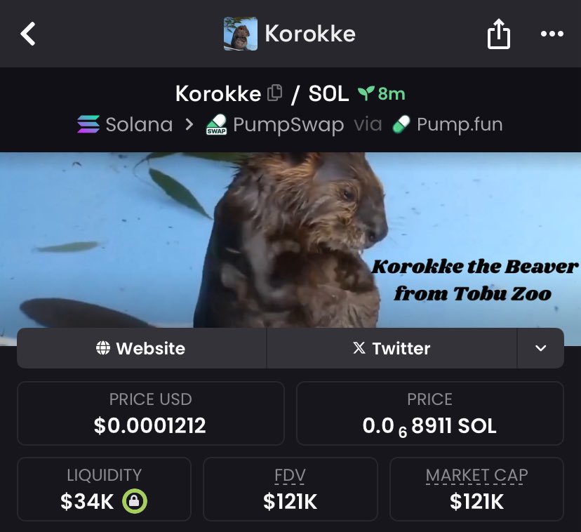 MemeCoinnCaller's tweet photo. 2.1x on $KOROKKE and people acting surprised 🤣
If you’re not in my TG you’re always gonna be late.
Winners move early — losers watch charts.

#Solana #CryptoAlpha #MemecoinAlpha #HiddenGems #SolanaTrading #DeFi #AlphaNetwork #CryptoSignals #Next100x #EarlyEntries #KOROKKE https://t.co/3epZGg7Icv