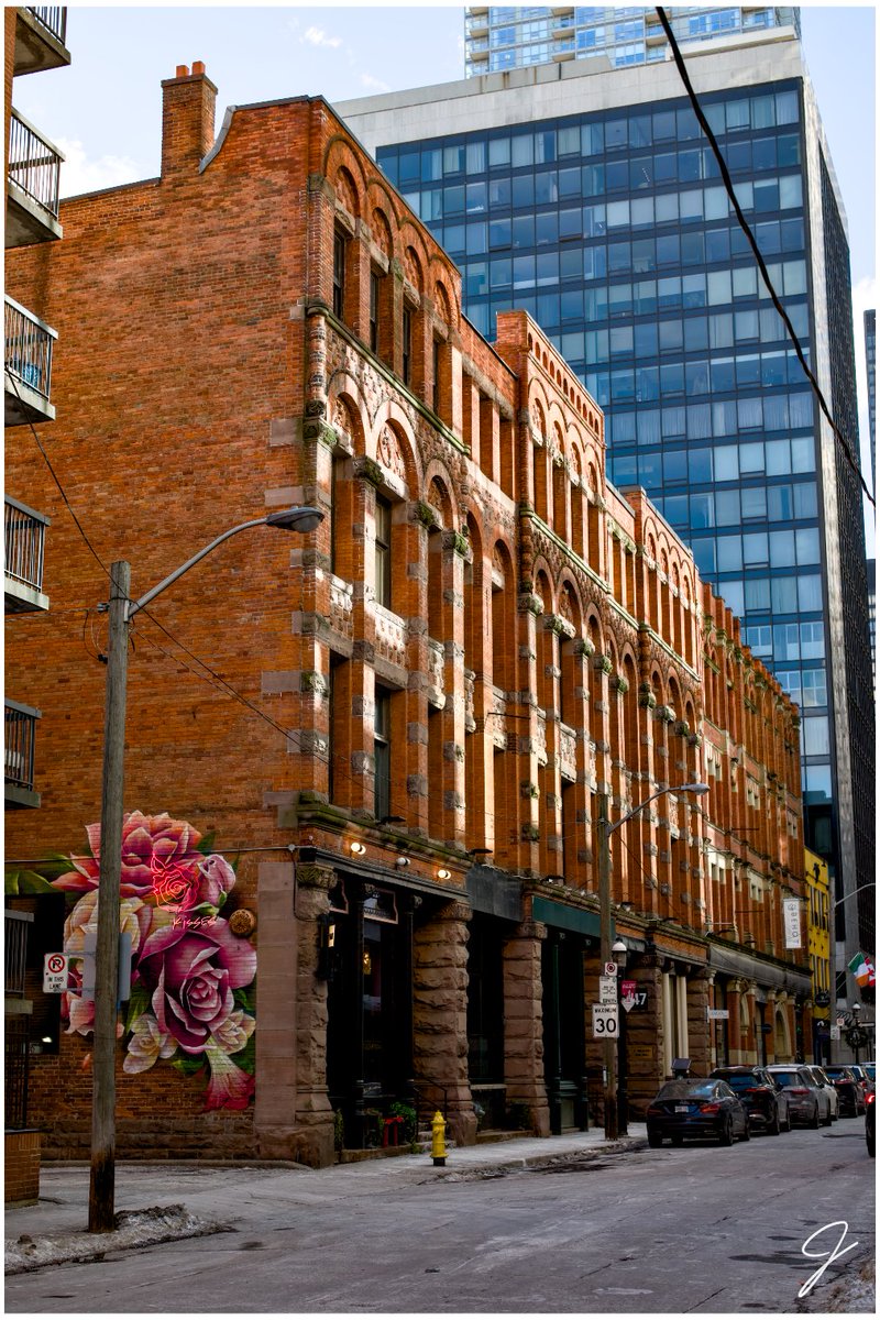 PYRAMID_BUILDER's tweet image. Toronto -3. Feels like...