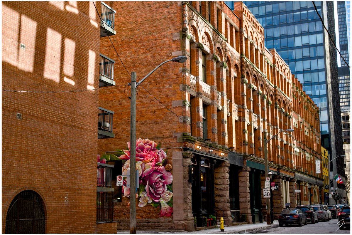 PYRAMID_BUILDER's tweet image. Toronto -3. Feels like...