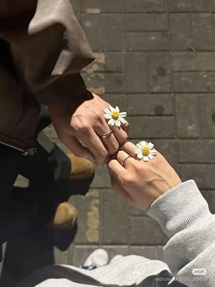 ❀ (@i3moment) on Twitter photo 