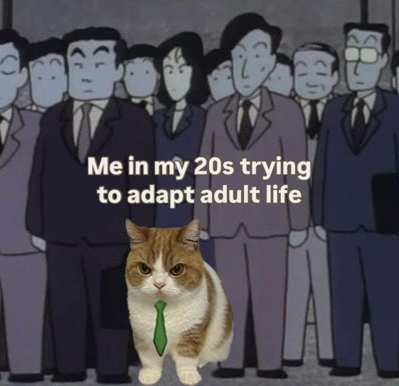 cdoll's tweet image. 