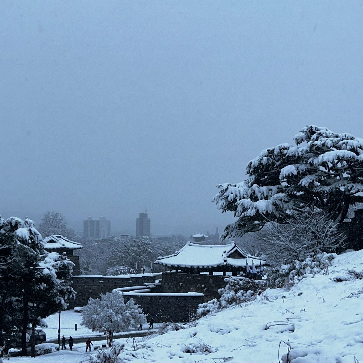 todaydori's tweet photo. ☃️ 눈 오는 날 행궁동에 왔다면
화서공원과 팔달산 산책로도 가보세요🌨 https://t.co/qki2lzD9Tx