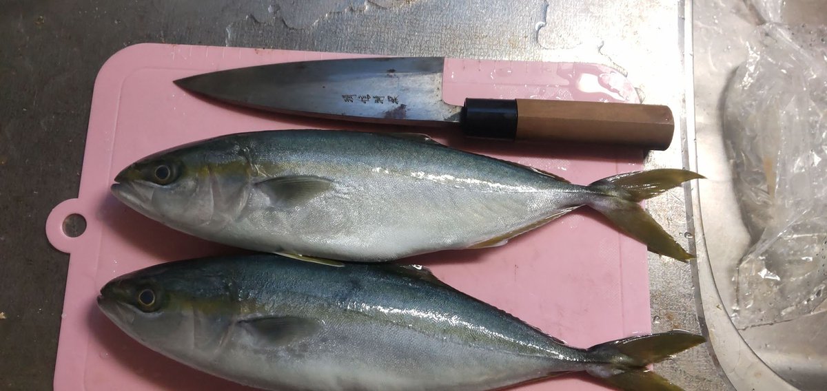 昨日、富山の入善で買ってきた
3尾500円のツバイソ(ブリの若魚)をさばいたので
ひと塩してちょい干し中
1尾は親にあげた
中骨は小骨と肋骨を切ってからワンコにあげた

メジナとサゴシも買ってくれば良かったかなぁ? 