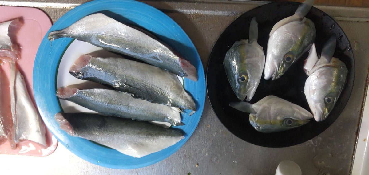 昨日、富山の入善で買ってきた
3尾500円のツバイソ(ブリの若魚)をさばいたので
ひと塩してちょい干し中
1尾は親にあげた
中骨は小骨と肋骨を切ってからワンコにあげた

メジナとサゴシも買ってくれば良かったかなぁ? 