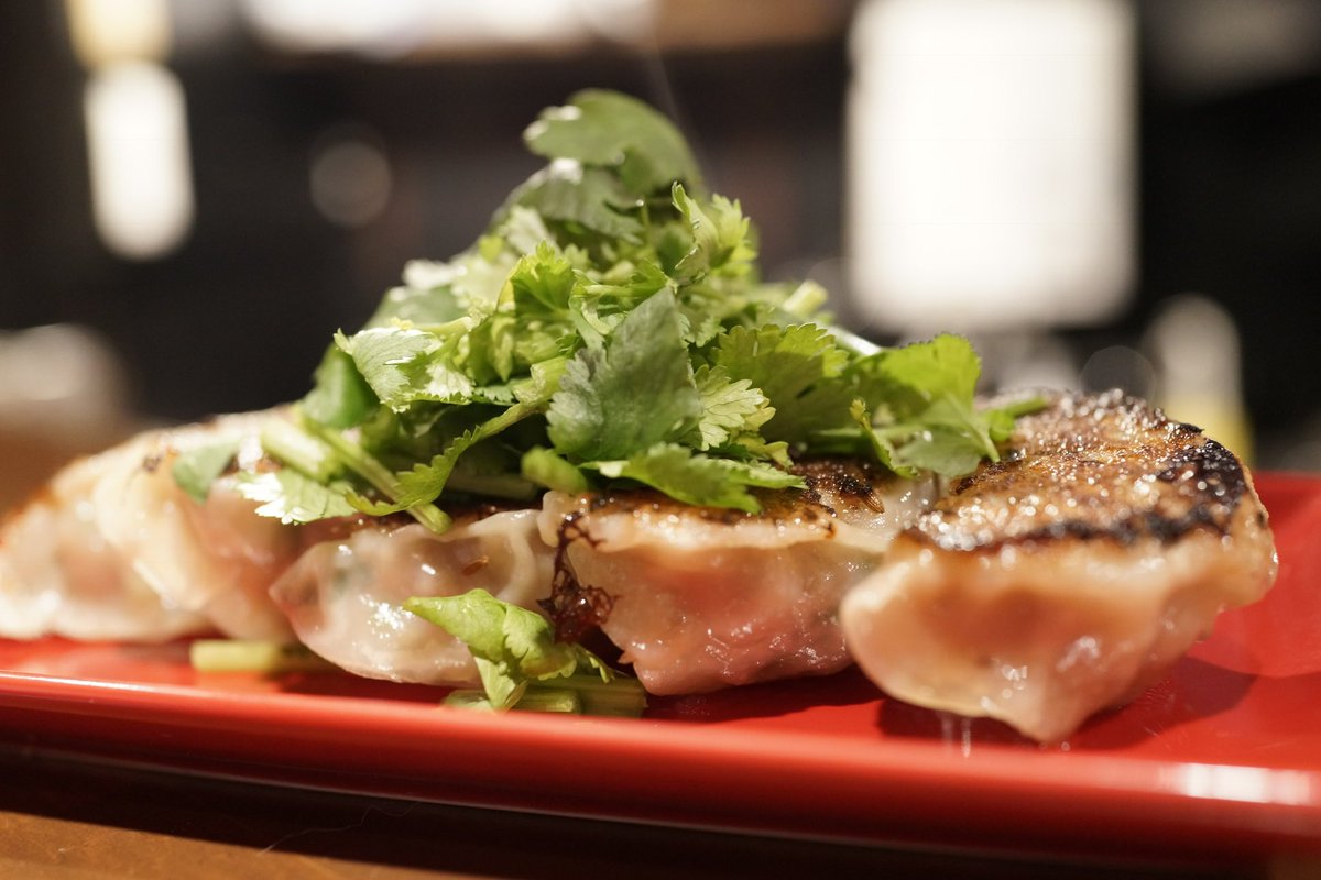 【2点購入150円引】ライオンくんがうまれたよ　やまもとよしこ 対馬のお茶入り とらやま缶 ティーバッグ8包入 | つしま大石農園