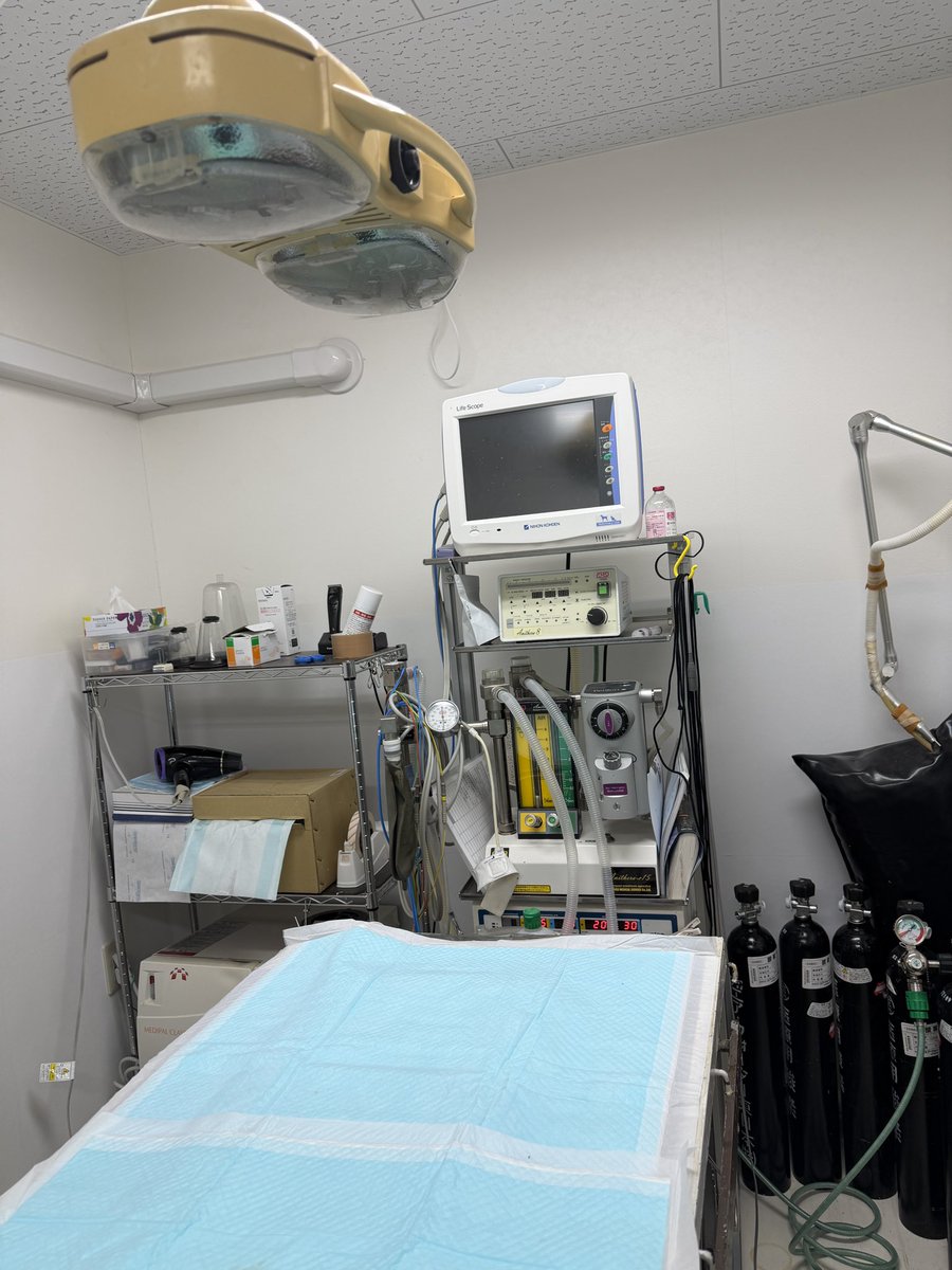 上手健太郎(Kentaro Kamide) 𝗗.𝗩.𝗠 🐎 tweet media