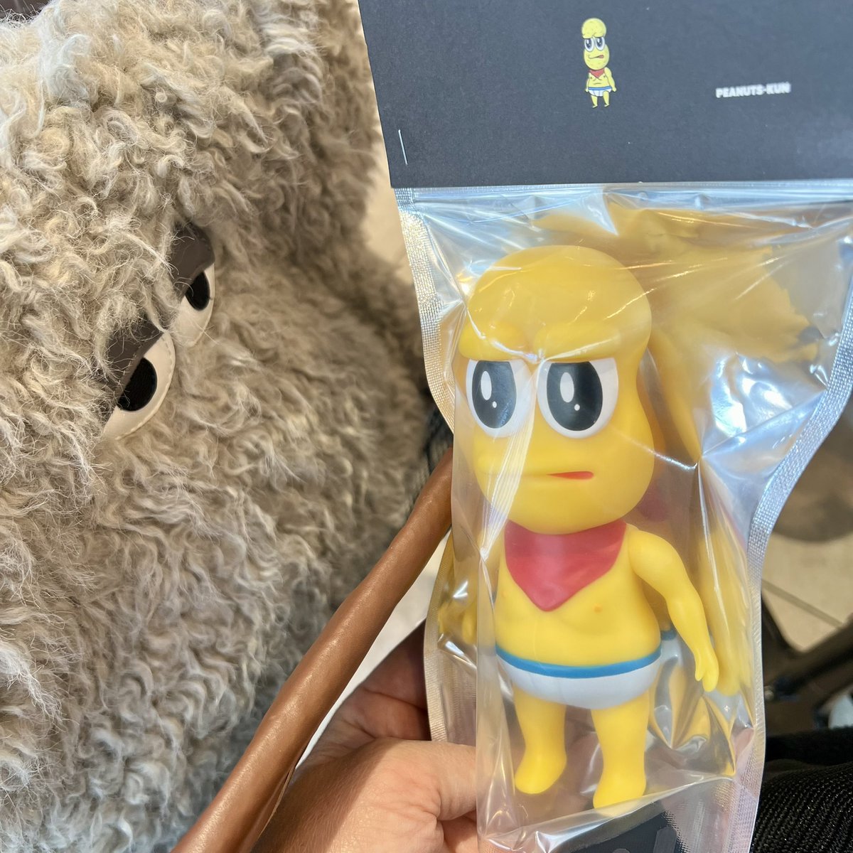 そしてわたしは昨夜無事に家に帰り、寝て起きて出かけピーナッツくんの