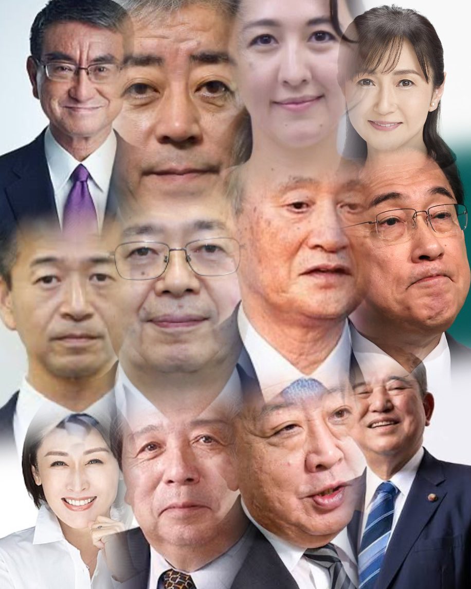 hikaruganji's tweet photo. １月の衆議院解散総選挙、売国奴議員は駄目絶対。 https://t.co/bdwcypQcO4