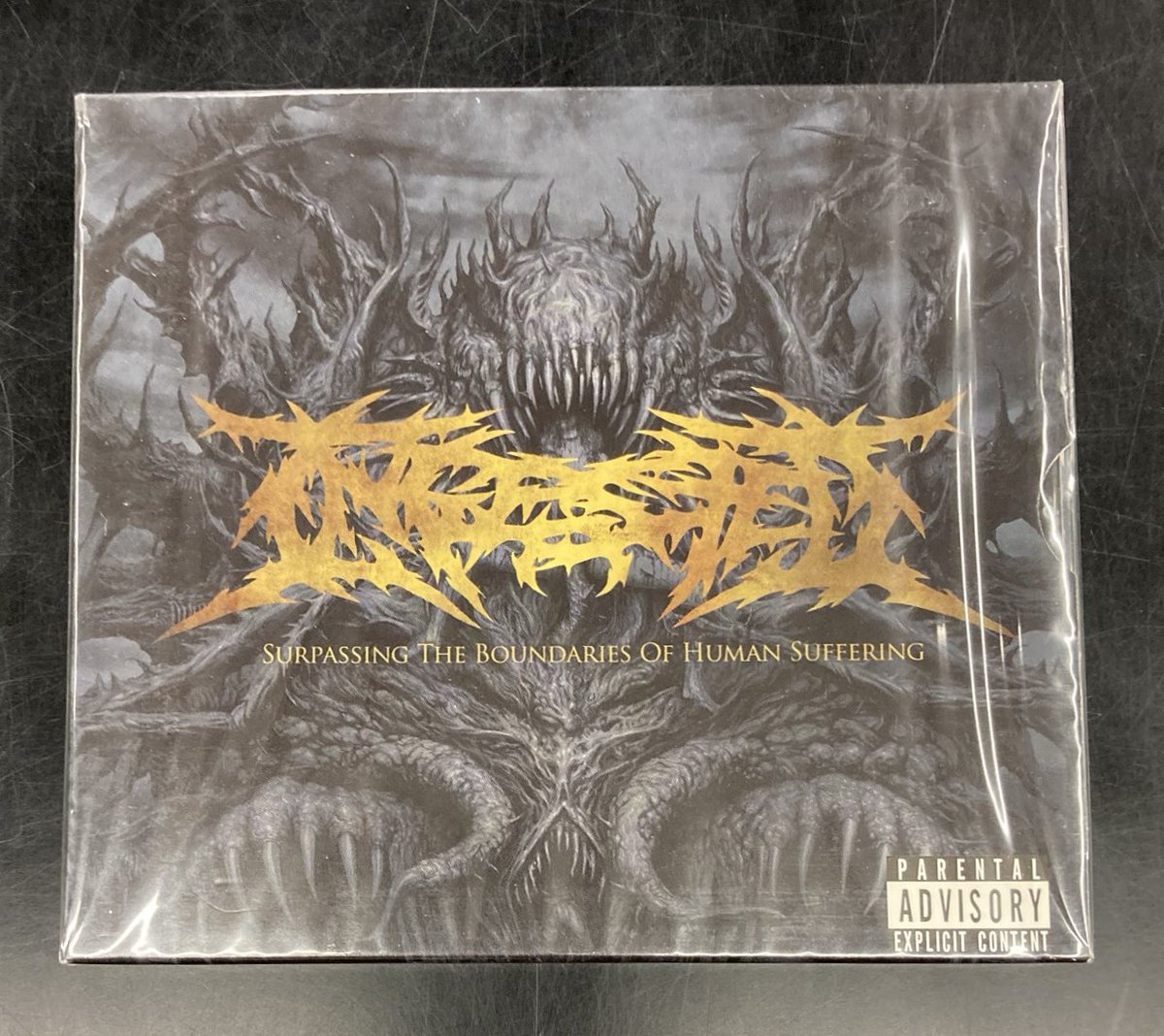 ⚡️≪レア盤中古CD 販売中≫⚡️ ◇INGESTED / SURPASSING THE BOUND