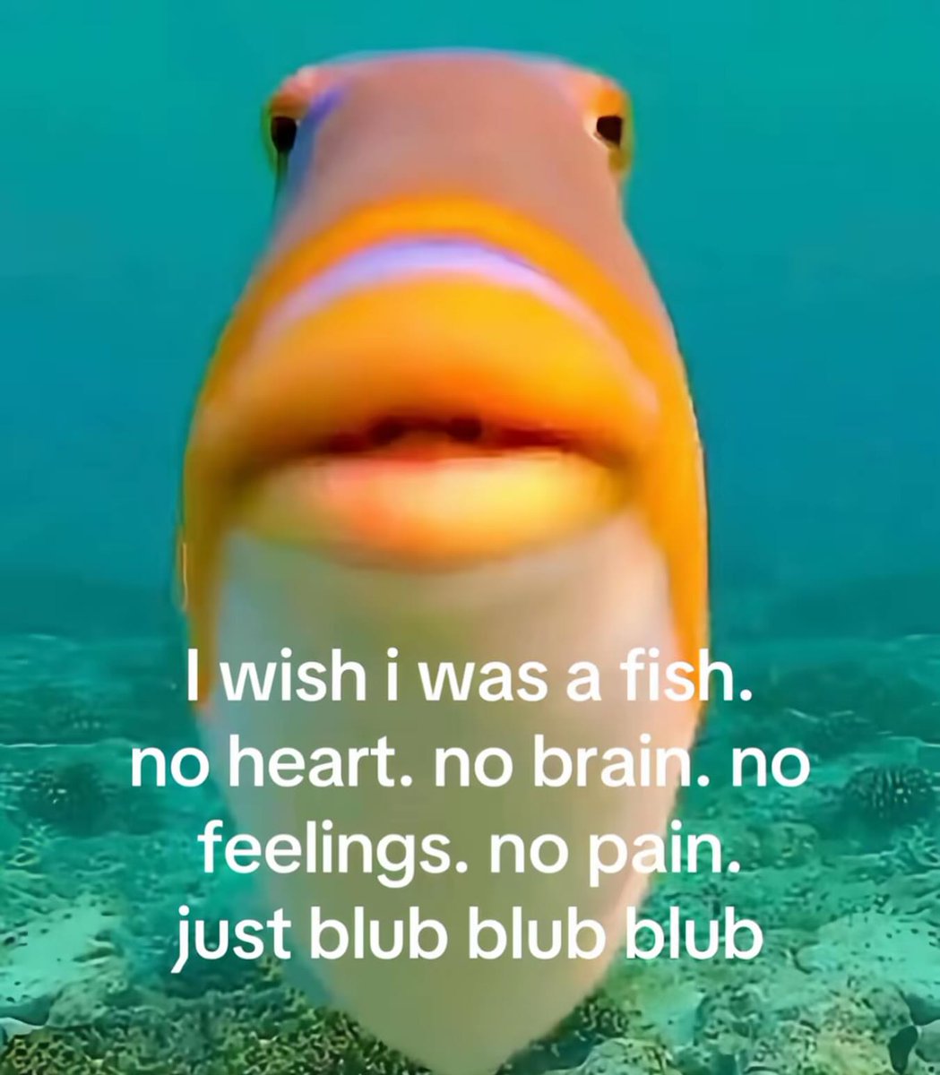 cdoll's tweet image. 