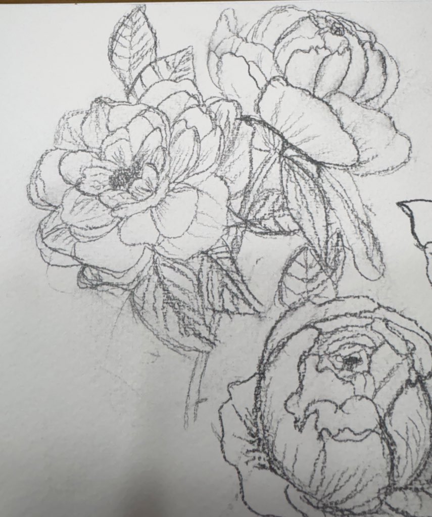 mujiny_fd's tweet photo. 일요일은 그림 그리는날 https://t.co/UOl8GSl667