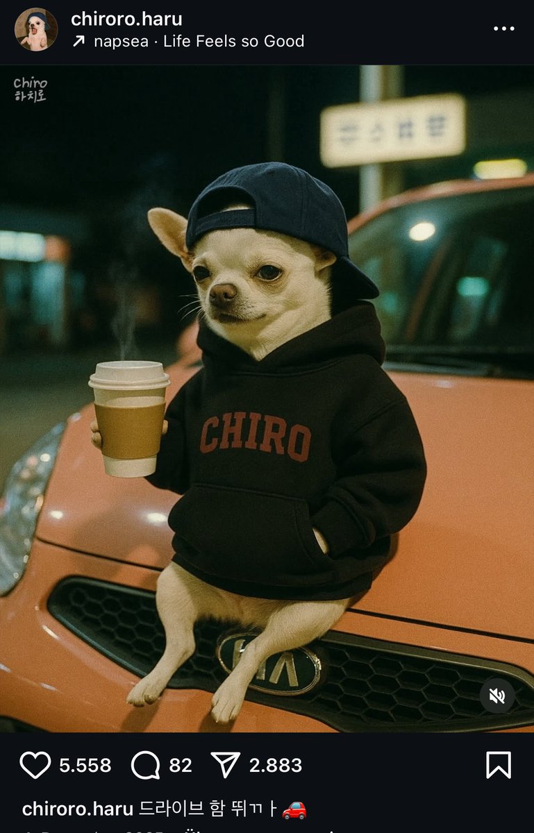 $Chiro