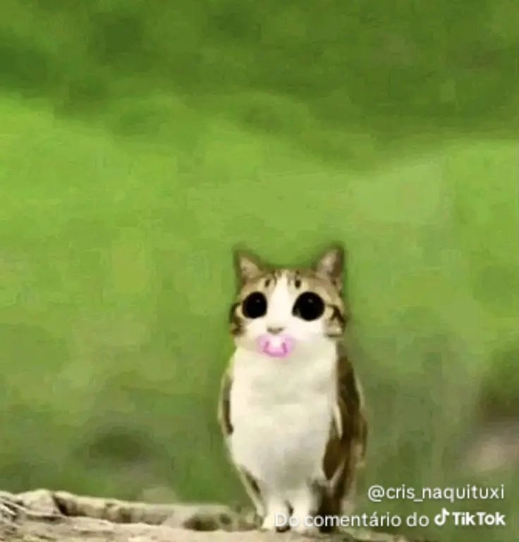 Humansentopy's tweet image. Nn tenho amigos pra compartilhar minha experiência de quase morte