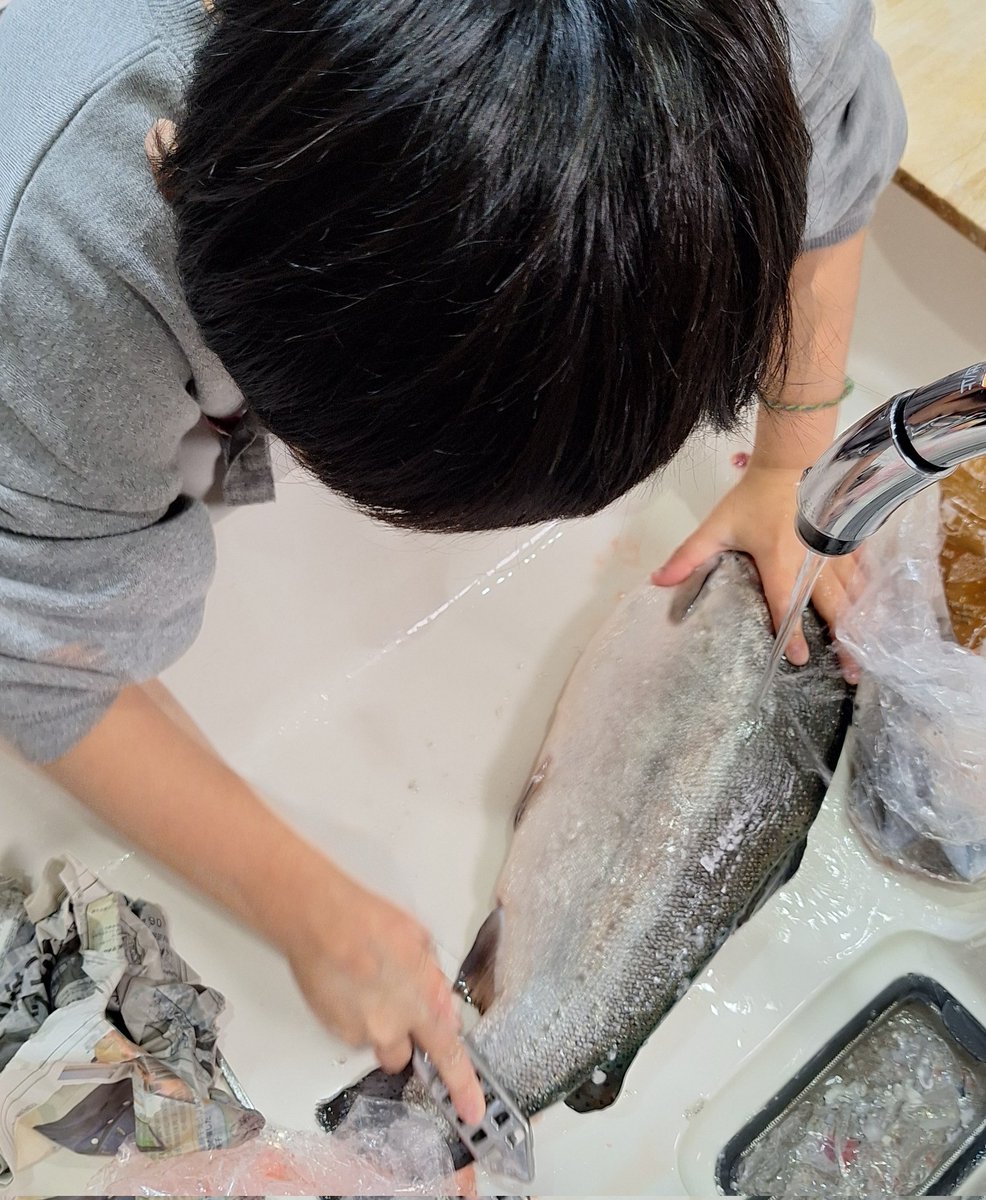 けんけんさん　専用ページ こんな感じになるのかな?