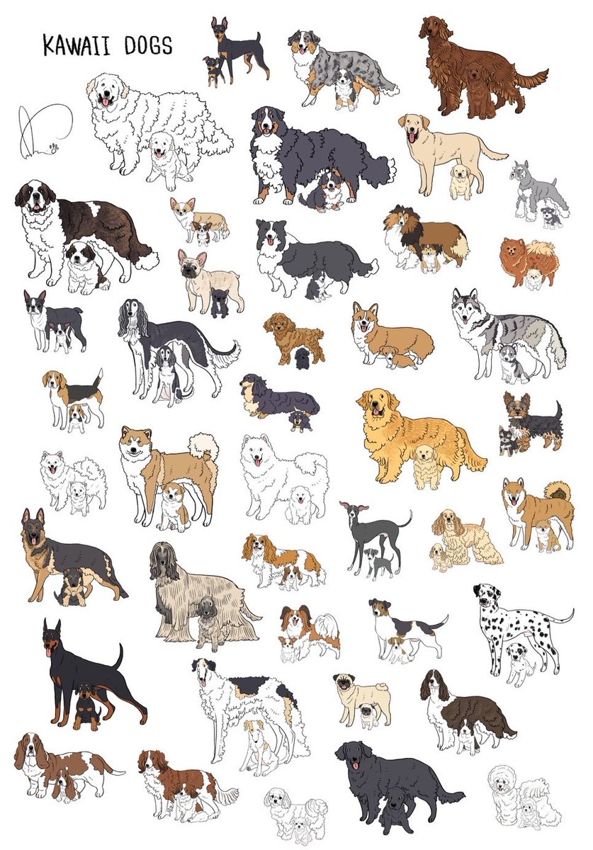 sakio🐾書籍「4ステップで誰でもかわいく描ける いぬとねこのイラスト練習帖」発売中🐾 tweet media