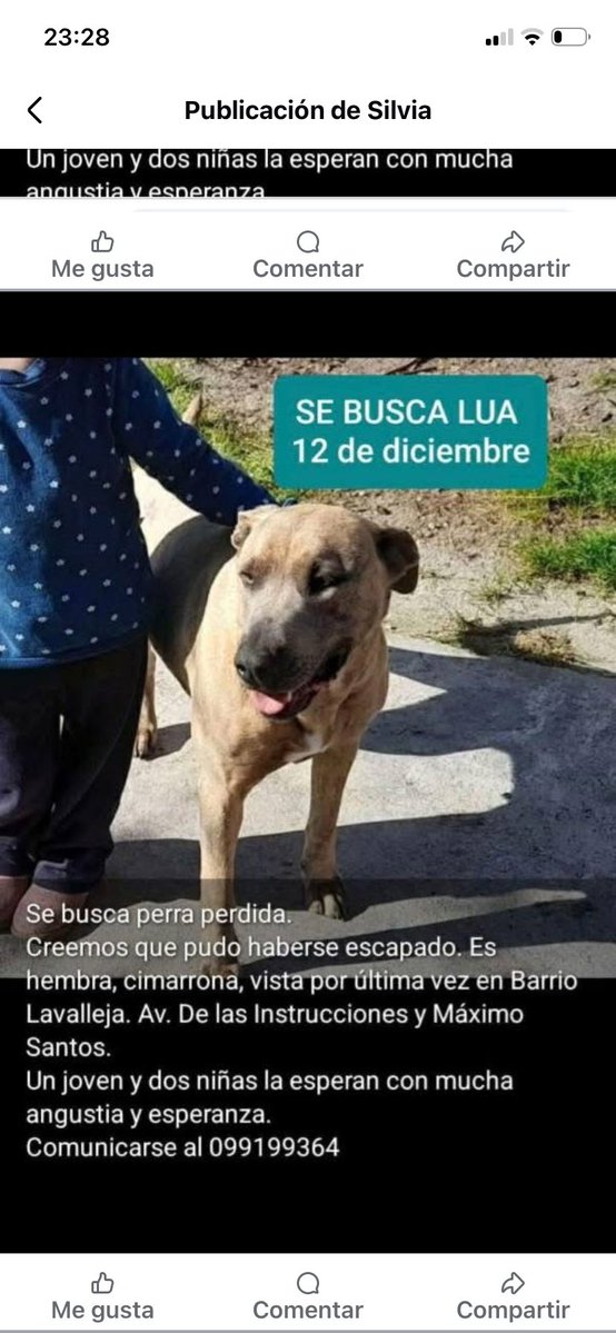 Adriana43587622's tweet image. Robada !!! Los dueños la buscan 🙏🏻