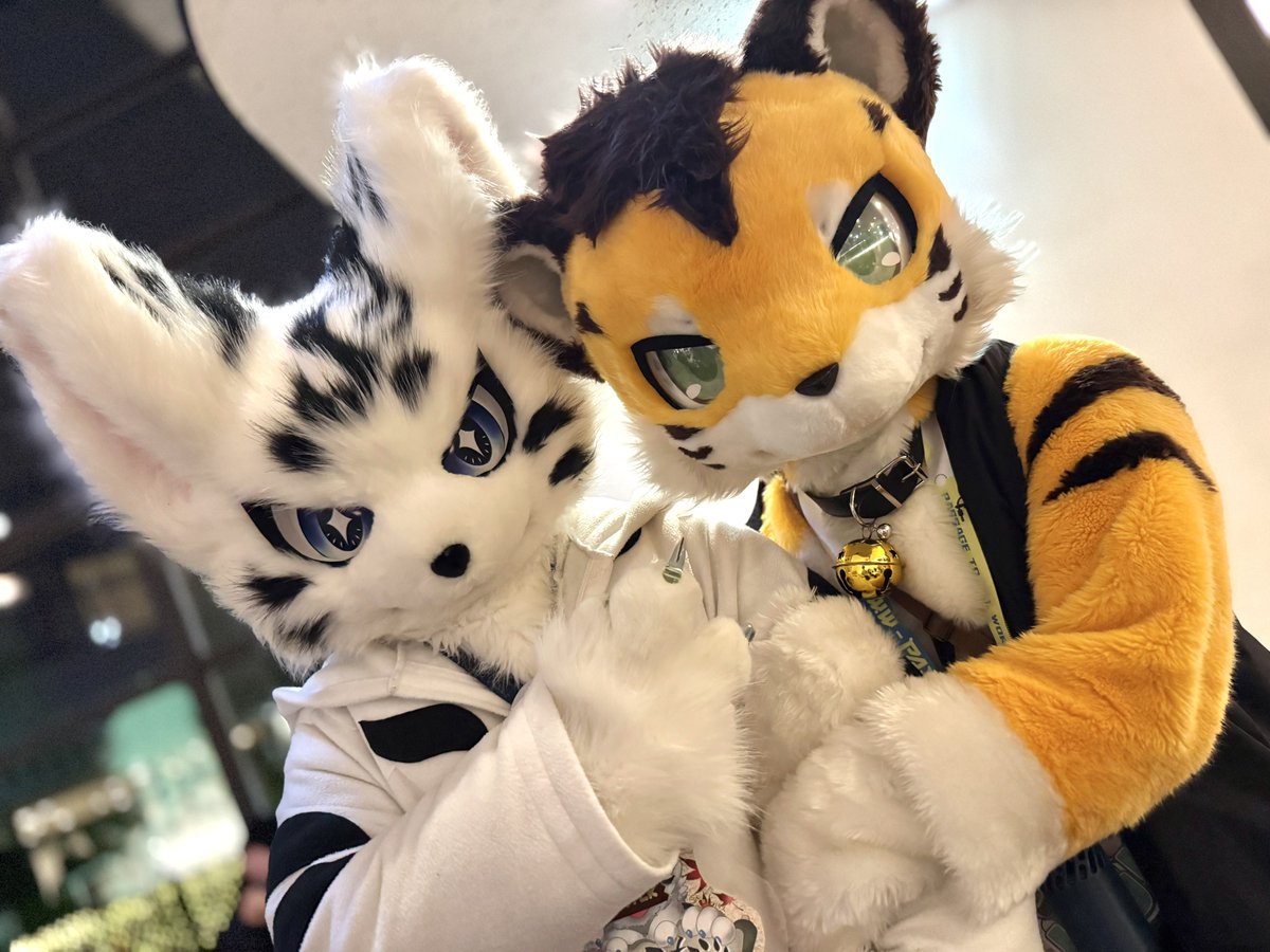 さみまる☼꙳ (@furry_330) / Posts / X