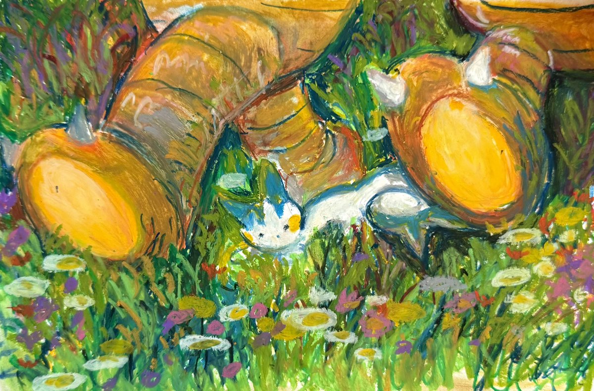 正岡𝙂𝙖𝙥. tweet media