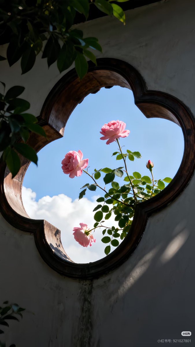 aestheticspost_'s tweet image. 