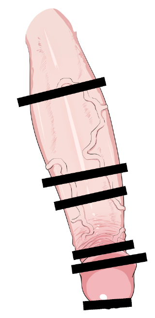 塗り練習52日目 