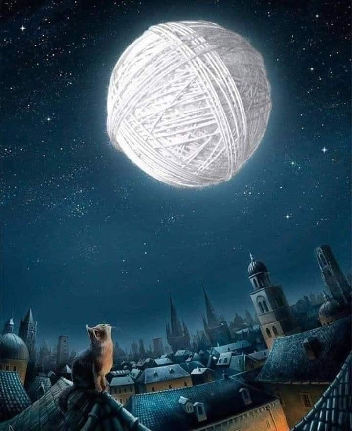 Marlyncris♍ tweet media