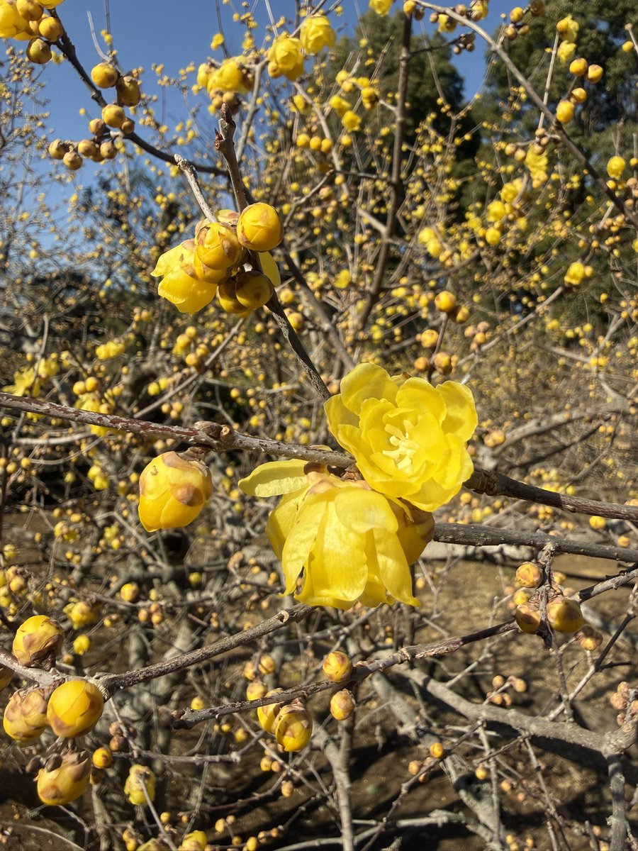 サト(satoosato) (@sato03271) / Posts / X