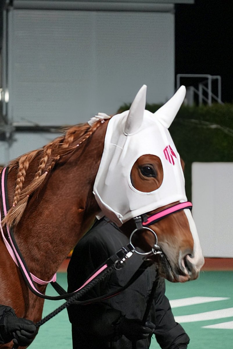 オルフェーヴル🏇