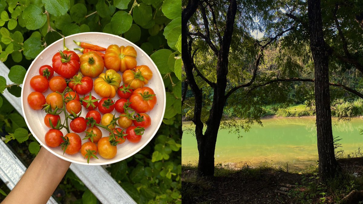 sinaddddddd's tweet image. Eldest daughters and their quiet pattern of handling life.

So many hobbies 🤏🏼