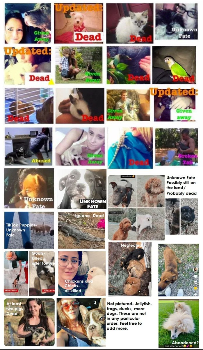 RepoManGaming tweet media