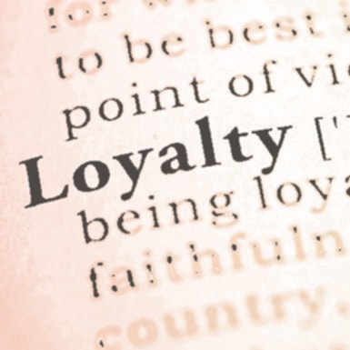 𝘚𝘵𝘳𝘢𝘺 𝘋𝘰𝘨 tweet media