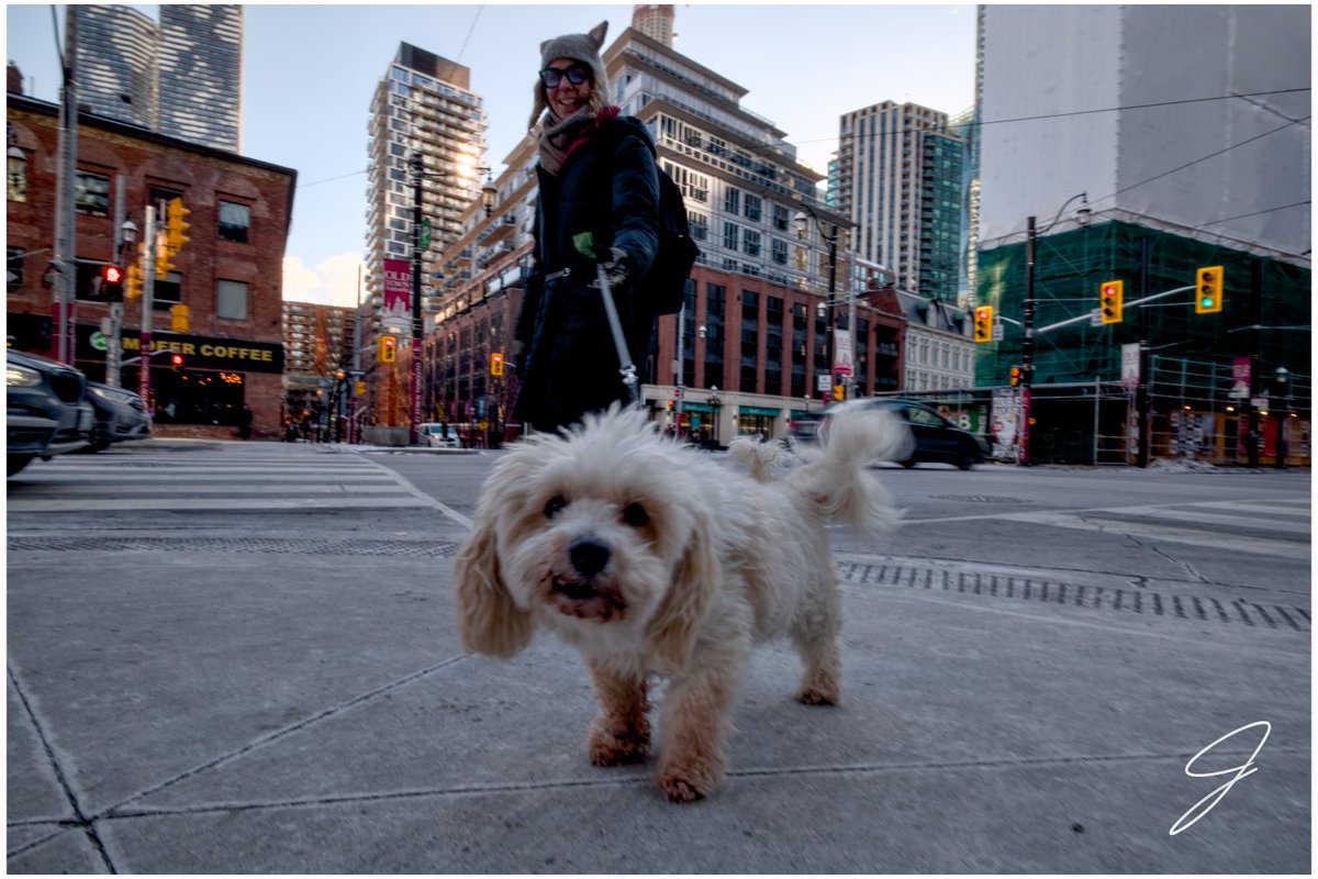 PYRAMID_BUILDER's tweet image. Toronto -3, feels like...