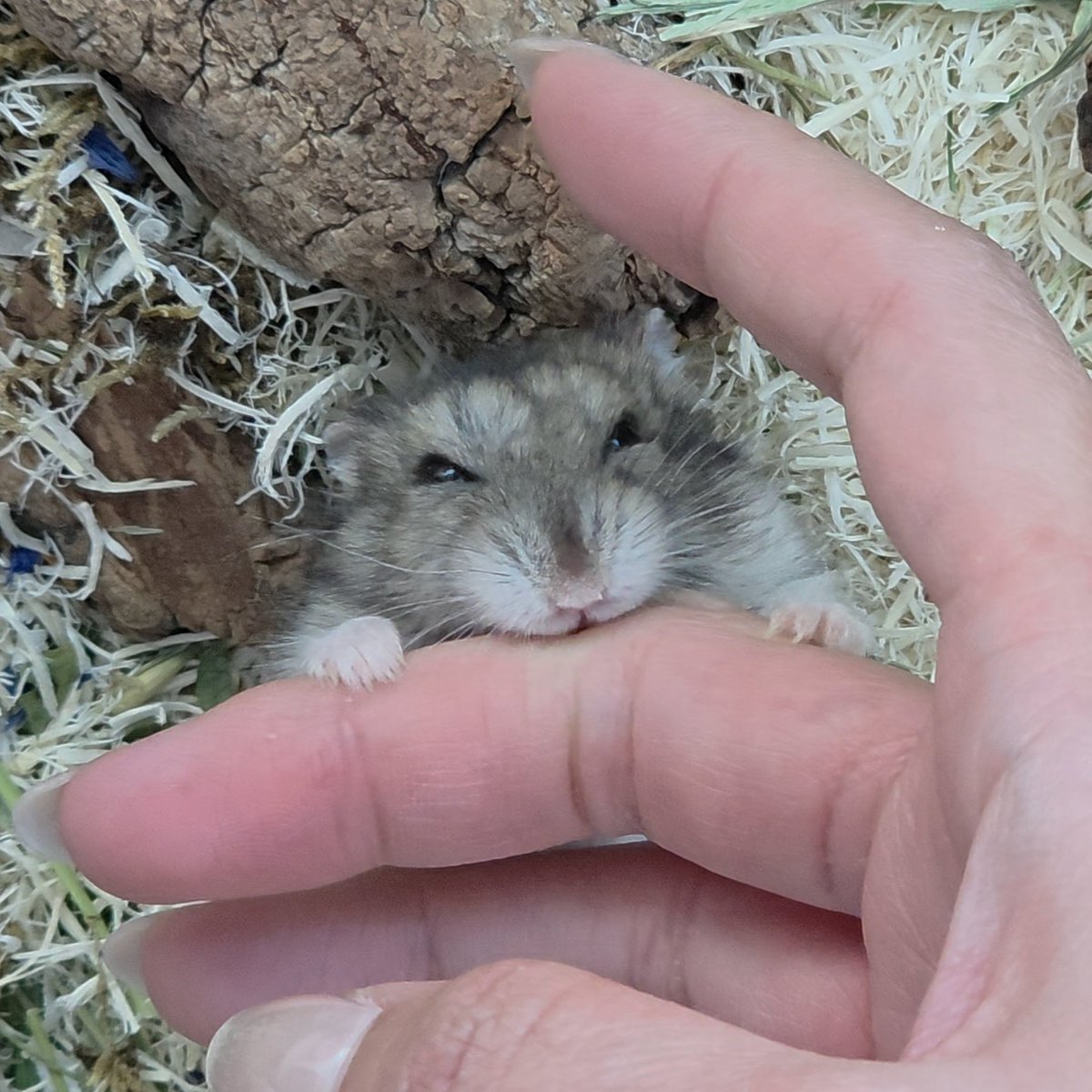 손가락을 내어주고 귀여운 사진을 건짐