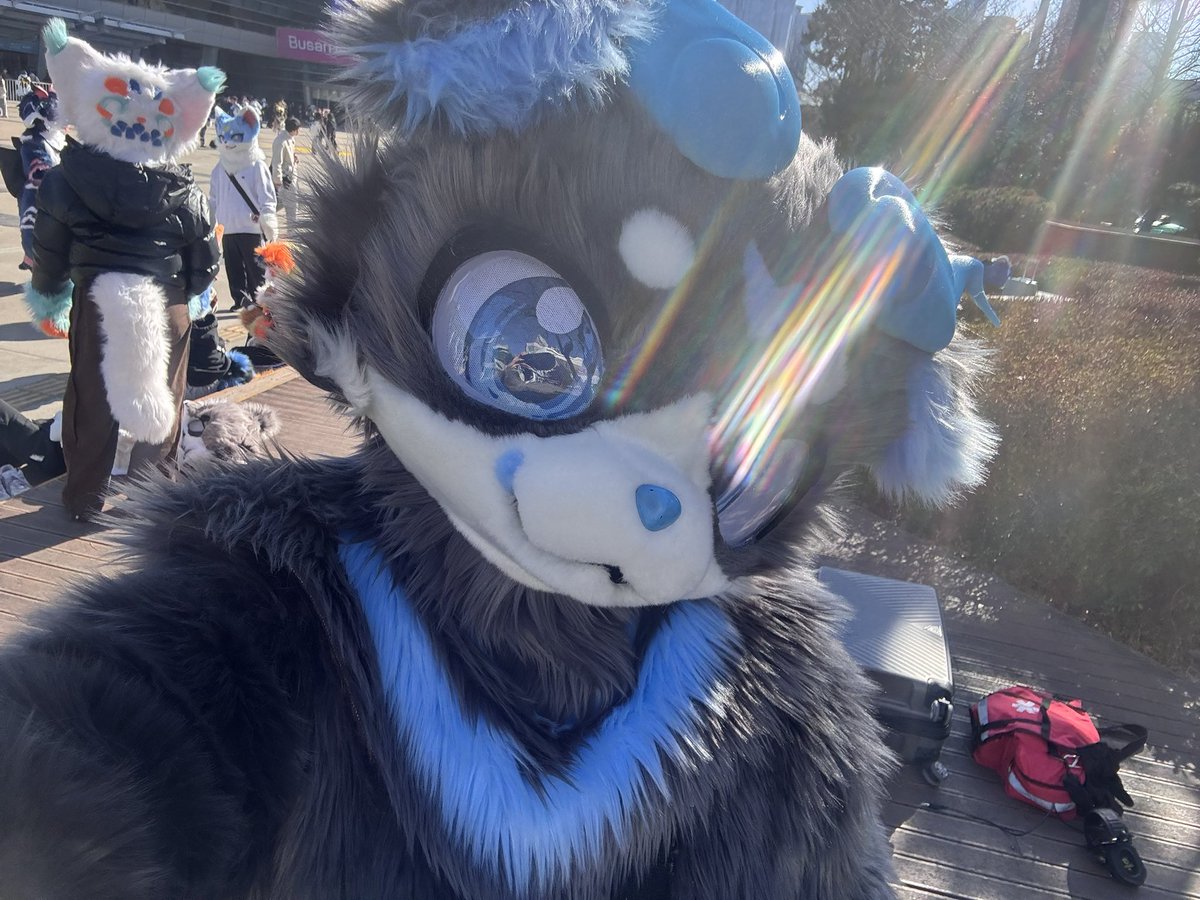 하쿠 출근했어용🩵🩵