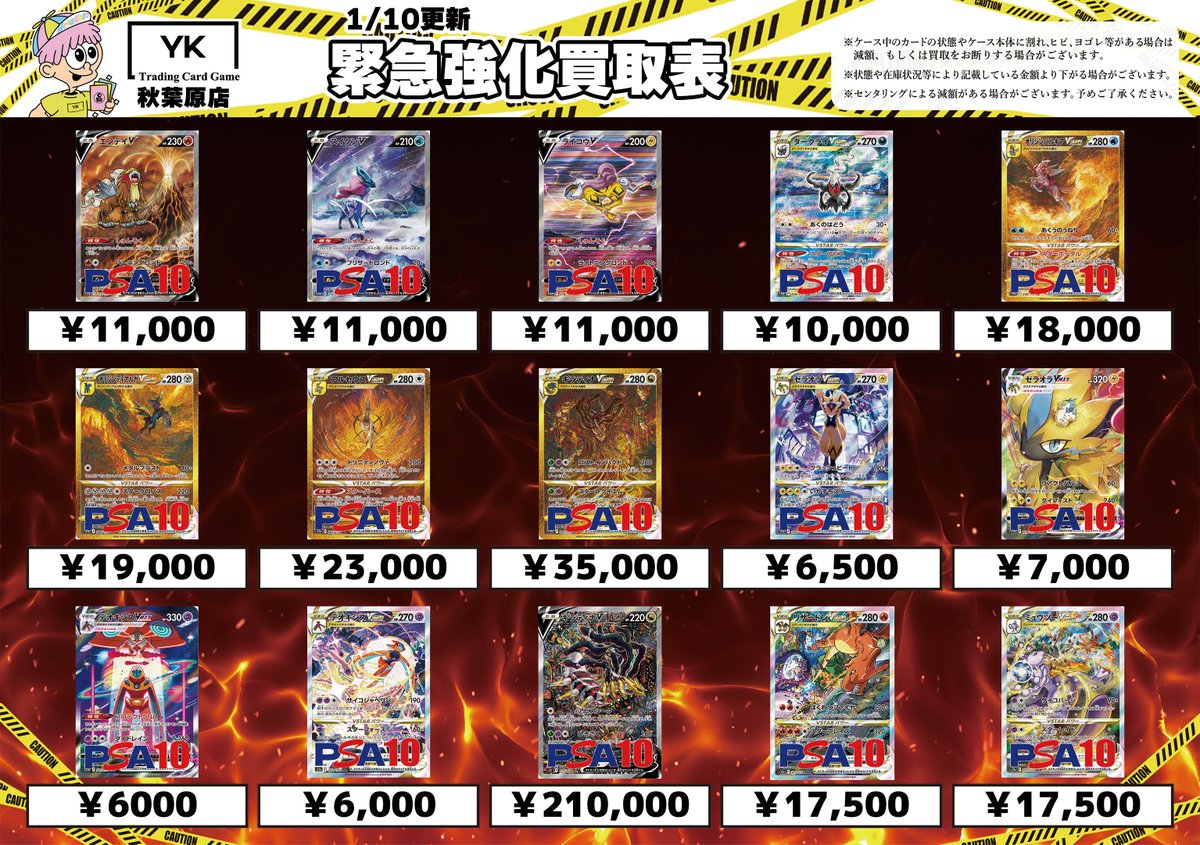 ⚠高額買取⚠ PSA10 エンテイV SAR 213/172 PSA10 スイクンV SAR 215