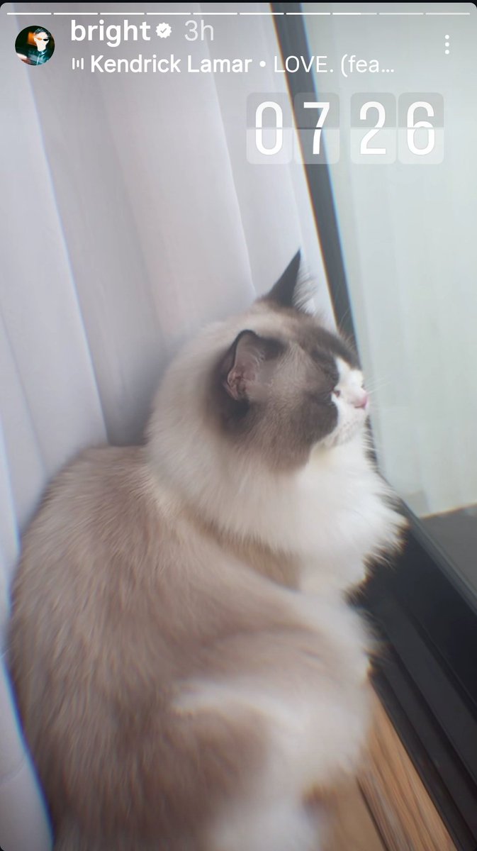 Jaampkanor2's tweet image. อาเม่ะหลานย่า คิดถึงนะลูก
Bright Vachirawit
#bbrightvc @bbrightvc
#bright