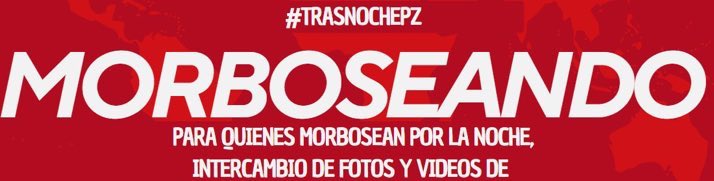 PZ ❌ tweet media