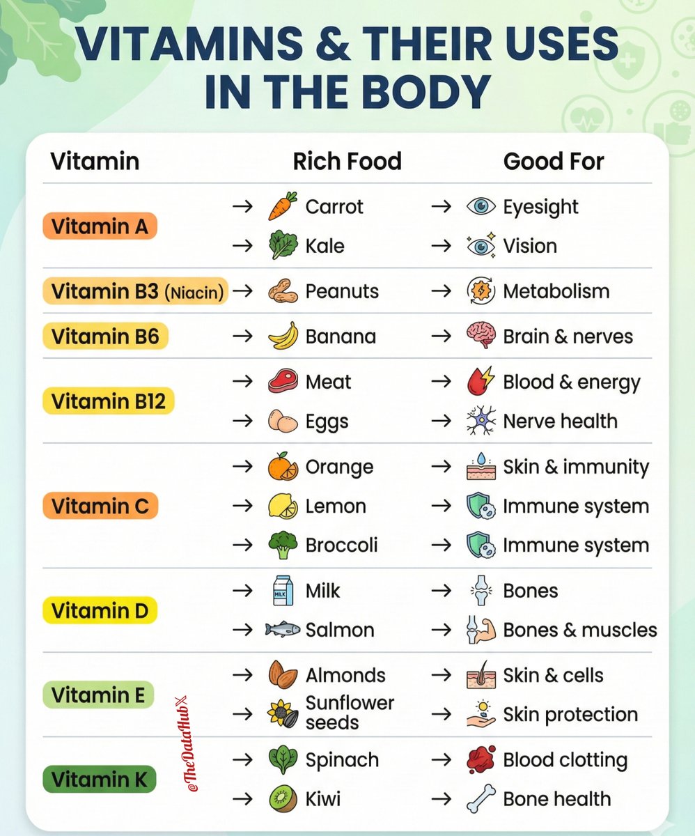 Vitamins &amp; Their Uses in the Body

Vitamin A → Carrot → Eyesight
Vitamin A → Kale → Vision

Vitamin B3 (Niacin) → Peanuts → Metabolism
Vitamin B6 → Banana → Brain &amp; nerves
Vitamin B12 → Meat → Blood &amp; energy
Vitamin B12 → Eggs → Nerve health

Vitamin C → Orange →