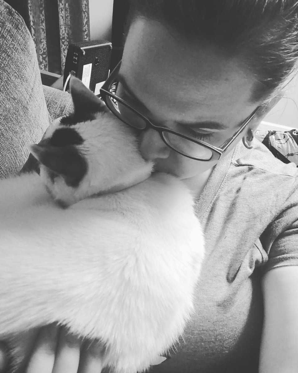 PortInTheForest's tweet photo. RIP my fur baby. You'll be greatly missed, my Smotherbell, my beautiful Tinkerbell. The one who loved belly rubs the most. 💜 https://t.co/ZmPCkrA1YF