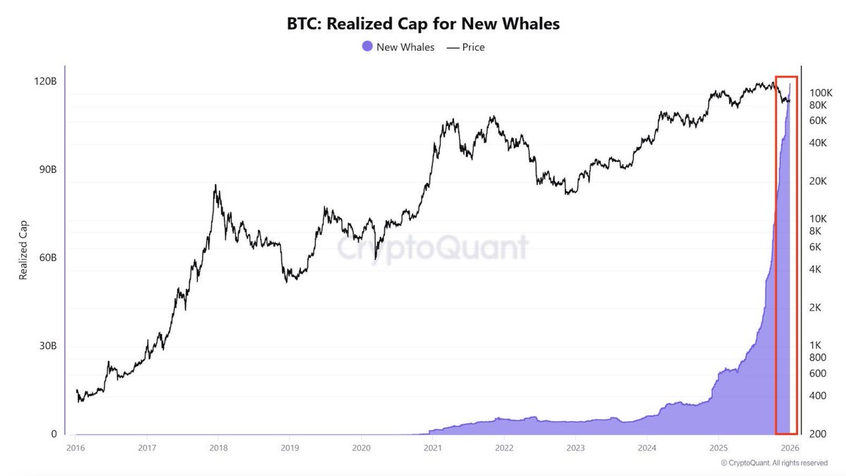 BTC - BITCOIN WHALES ARE IN AGGRESSIVE ACCUMULATION MODE.
