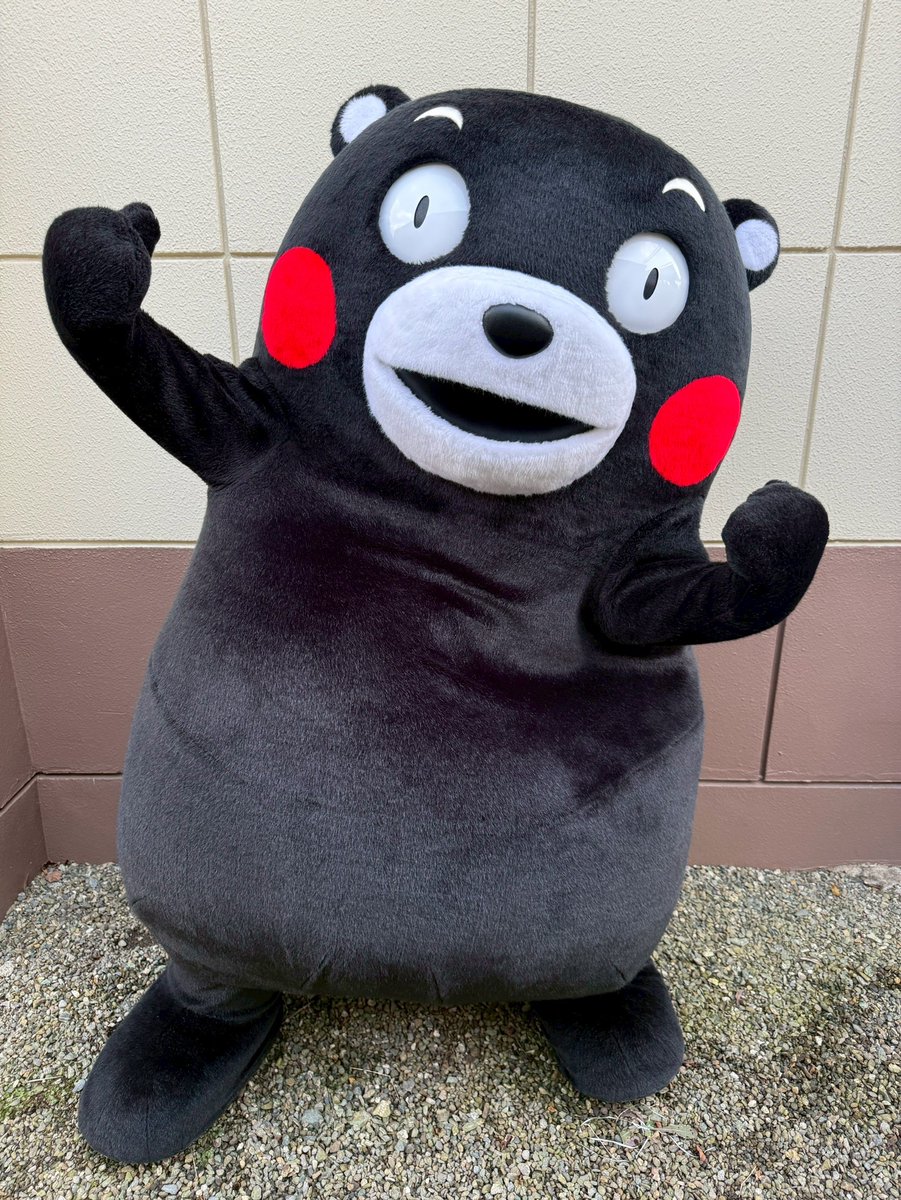 くまモン【公式】 (@55_kumamon) / Posts / X