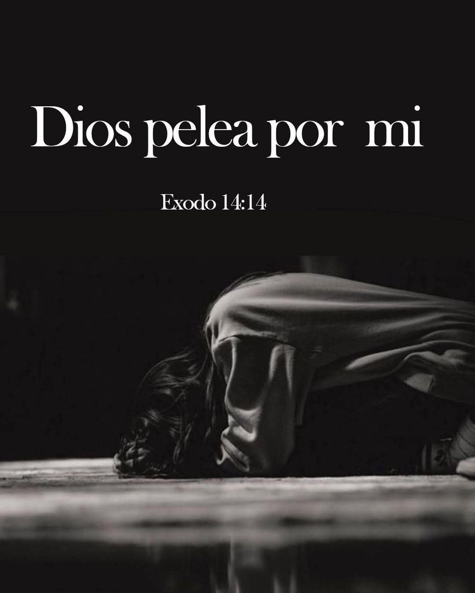 Blaker-Lavayen 🇪🇨 (@blacker_lavayen) on Twitter photo 