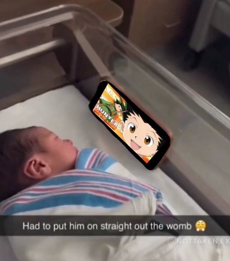 HxHperfectshot's tweet image. 